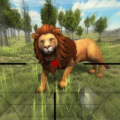 Lion Hunting 3D